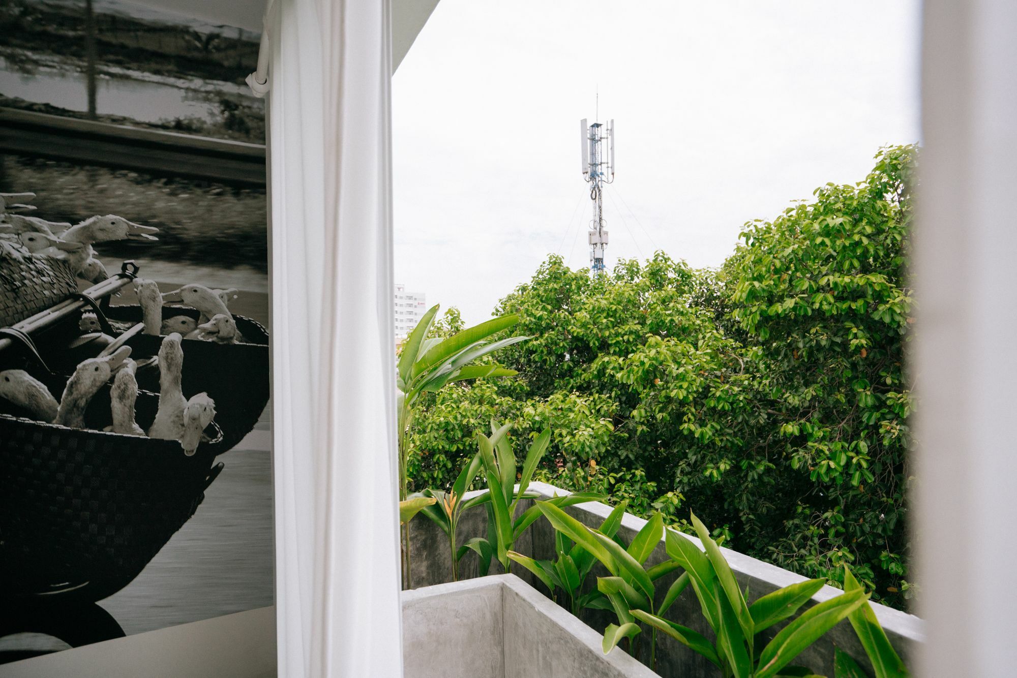 הו צ'י מין סיטי Iam Saigon Homestay מראה חיצוני תמונה
