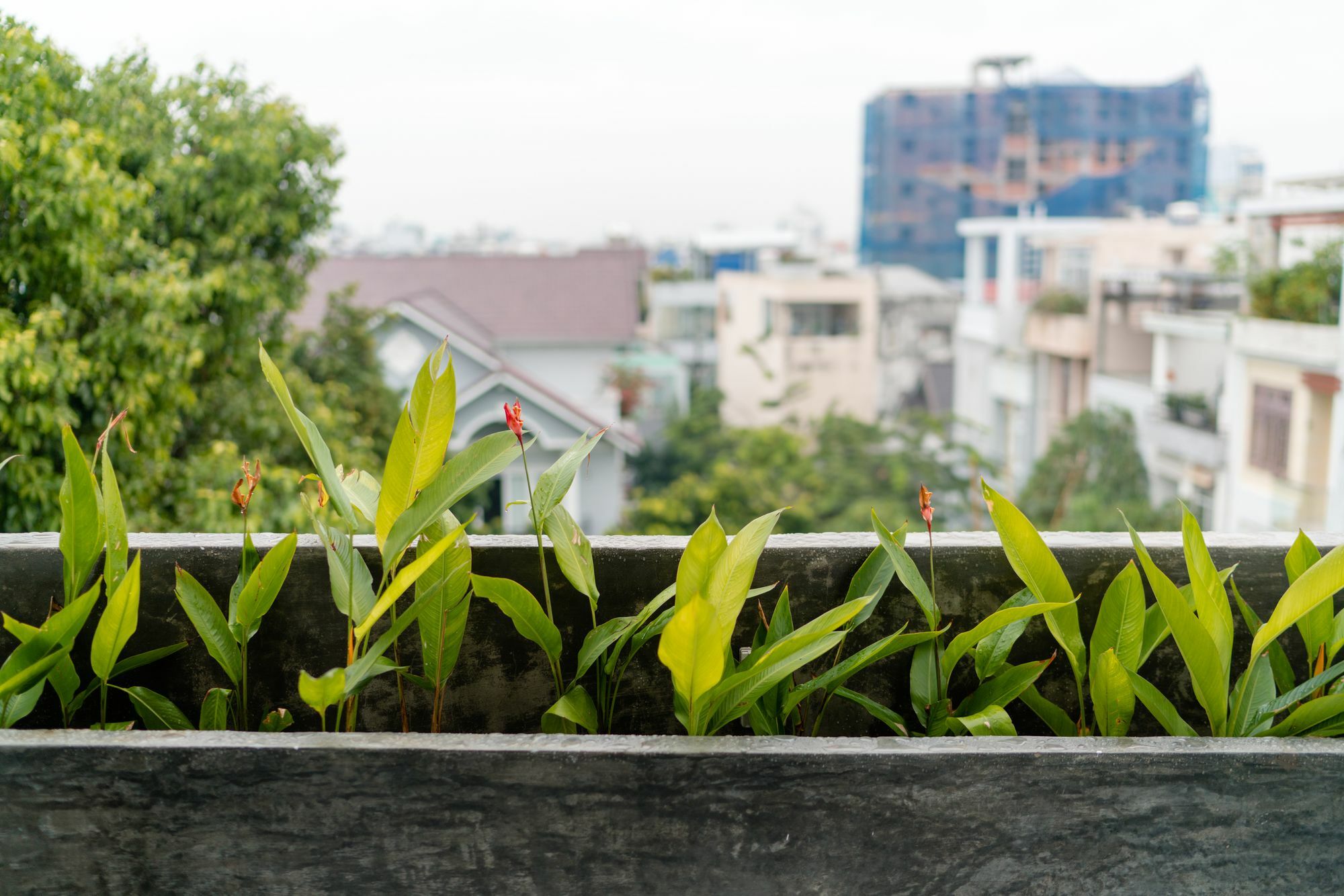 הו צ'י מין סיטי Iam Saigon Homestay מראה חיצוני תמונה
