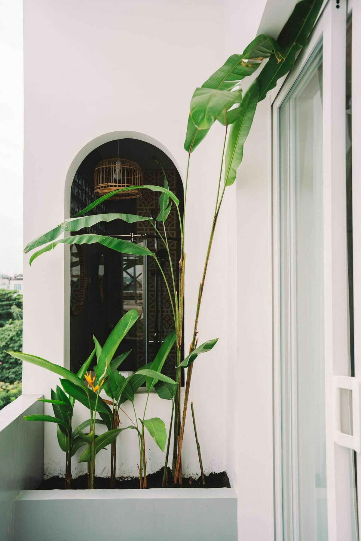 הו צ'י מין סיטי Iam Saigon Homestay מראה חיצוני תמונה